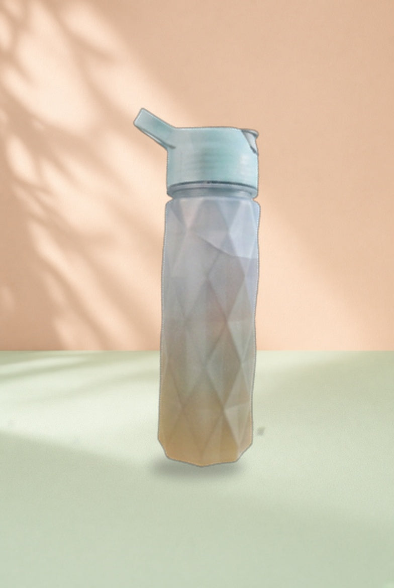 Hot-Selling New Gradient Frosted Mist Spray Sports Water Bottle