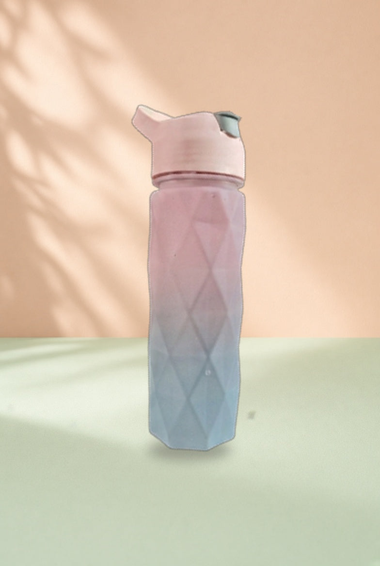 Hot-Selling New Gradient Frosted Mist Spray Sports Water Bottle